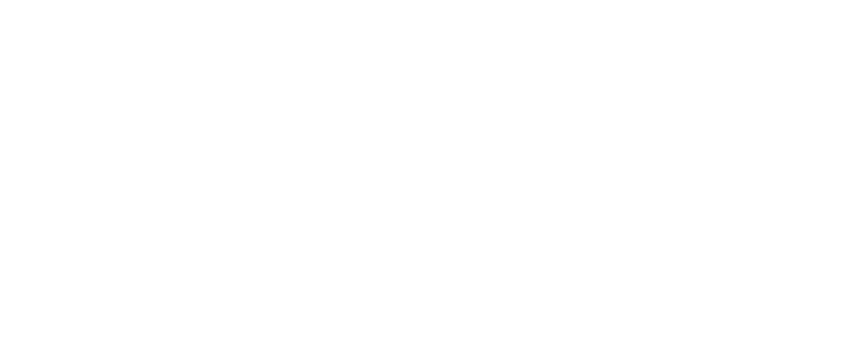 Lepinsk Ecotech